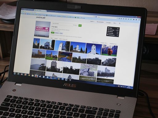 Persoon logt in op een belastingportaal via een laptop