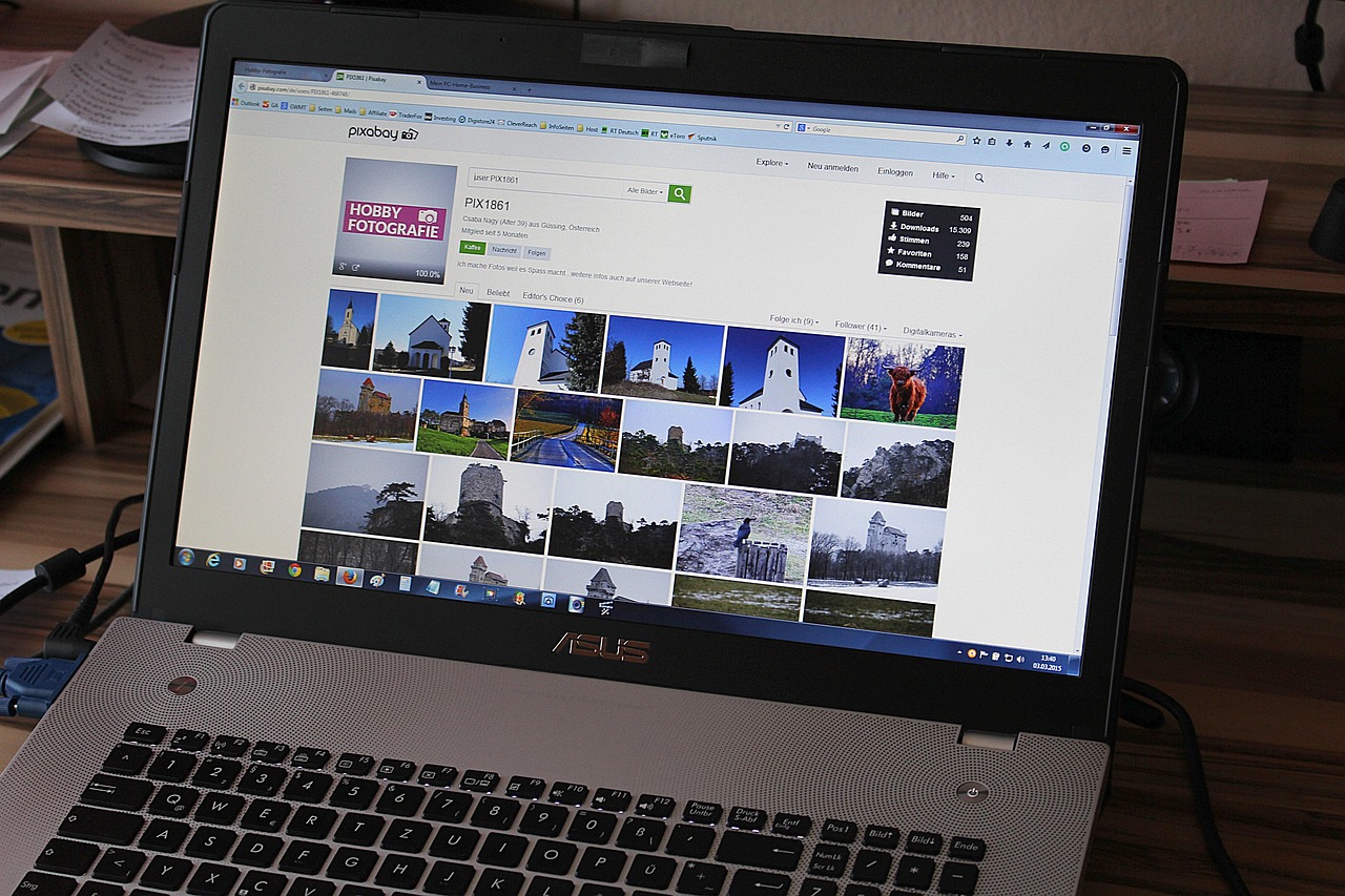 Persoon logt in op een belastingportaal via een laptop